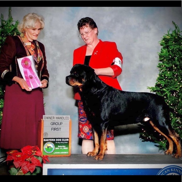 Meet your Posher, Anne - Picture 3 of 15